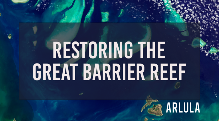 3 Ways Satellite Imagery Can Help Restore the Great Barrier Reef - Arlula